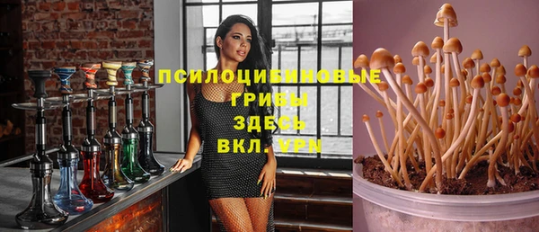 альфа пвп Белокуриха