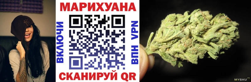 сколько стоит  Медногорск  Канабис сатива 